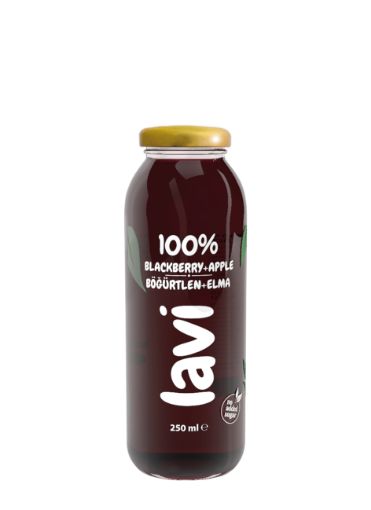 LAVI ELMA-BOGURTLENLI SISE 250 ML resmi